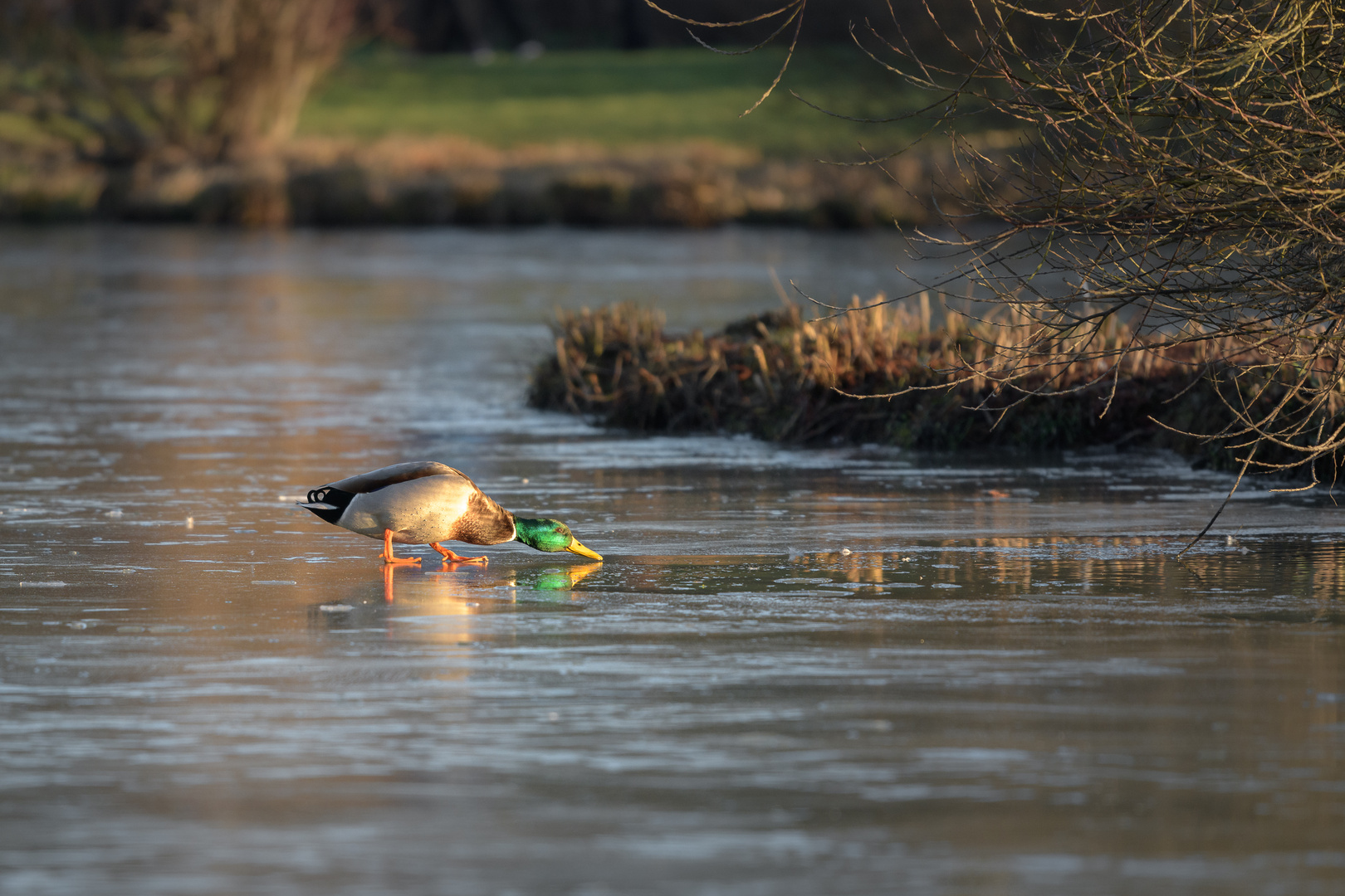 Wo geht's denn hier ins Wasser...?