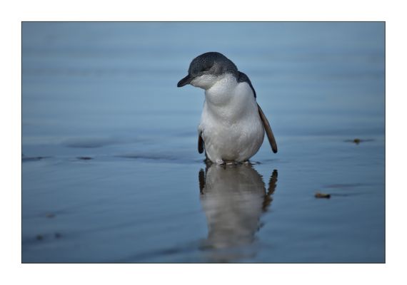 wo geht's hier denn zu den anderen ?