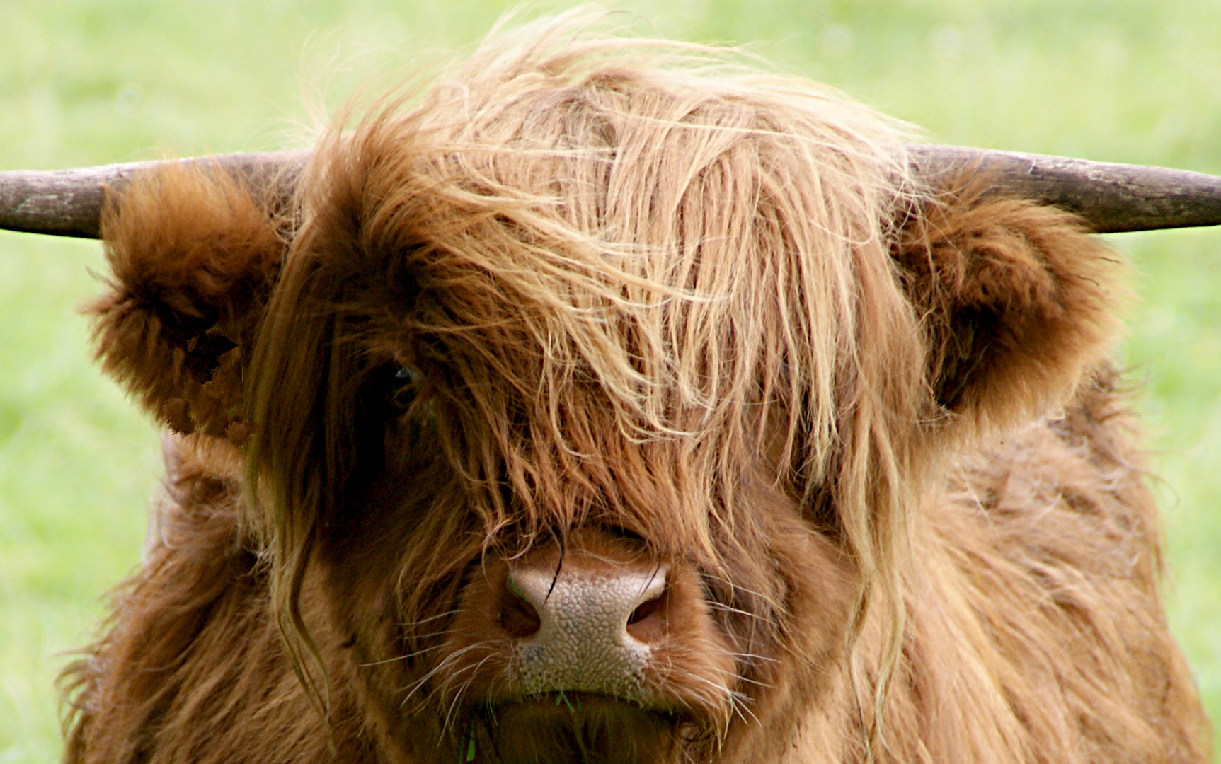 Wo gehts hier zum Friseur?