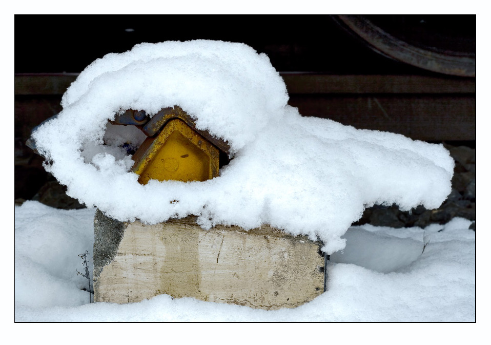 Wo gibt es eigentlich günstige Schneeschuhe?