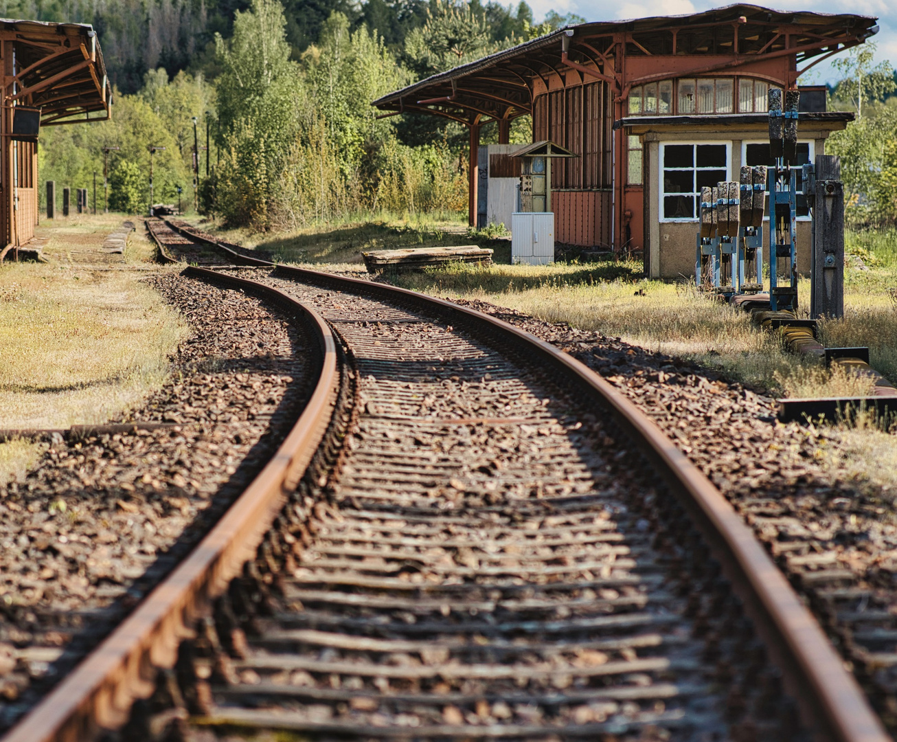 Wo hin nur geht die Reise?