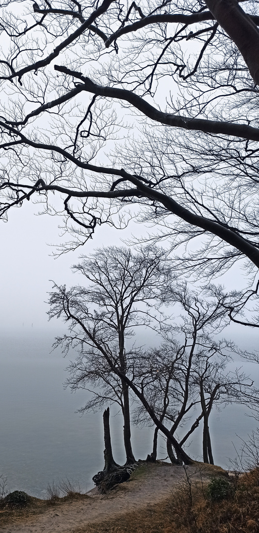 Wo hört die See auf