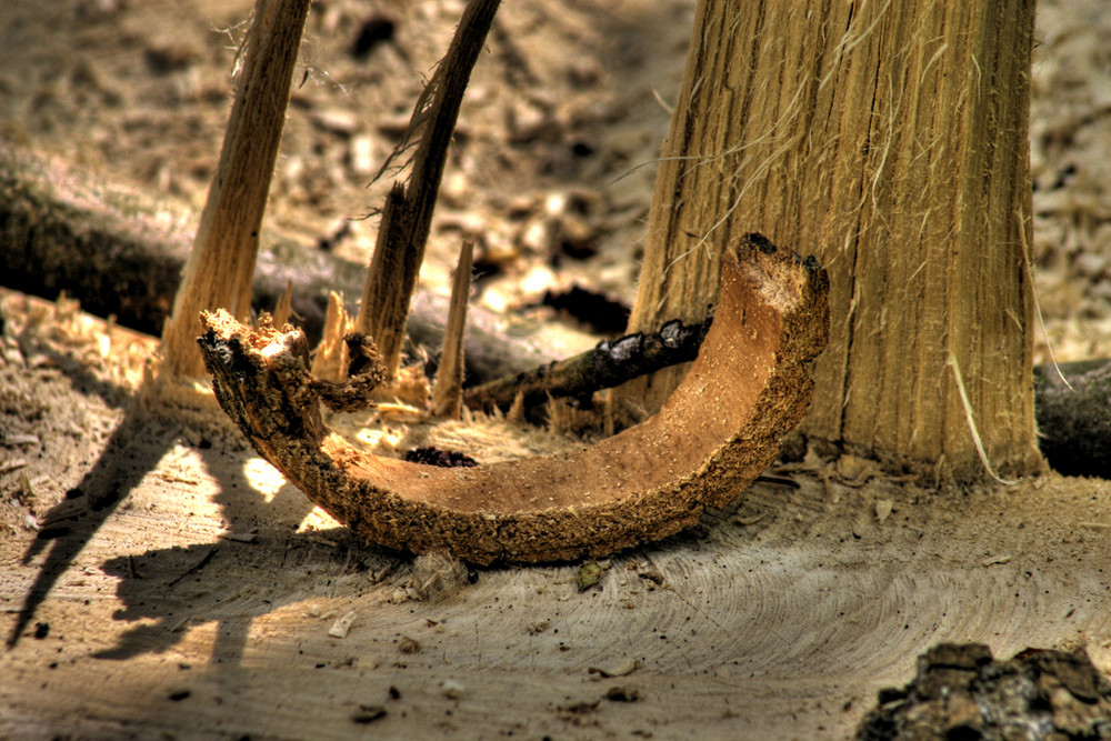 Wo Holz gehauen wird, da fallen Späne.