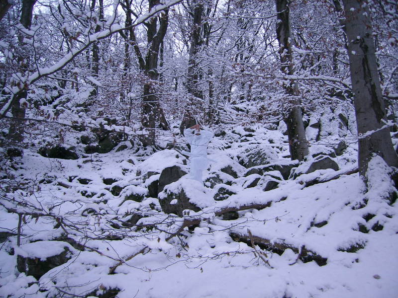 Wo is der Ninja in Schneetarnung?