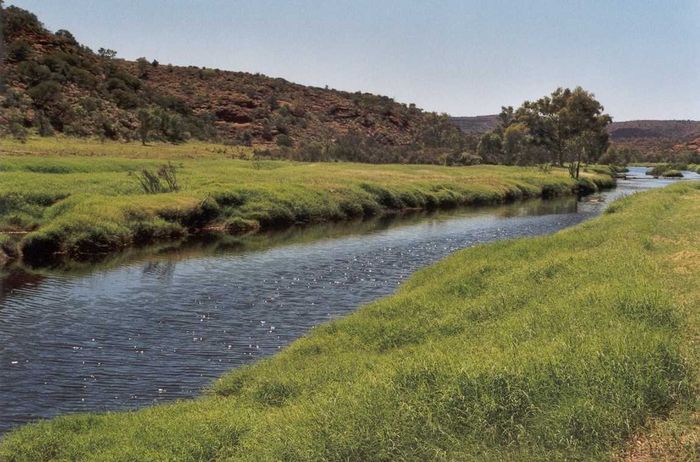 WO ist das? -> gelöst !!! Finke River, Palm Valley, 'nähe' Alice Springs