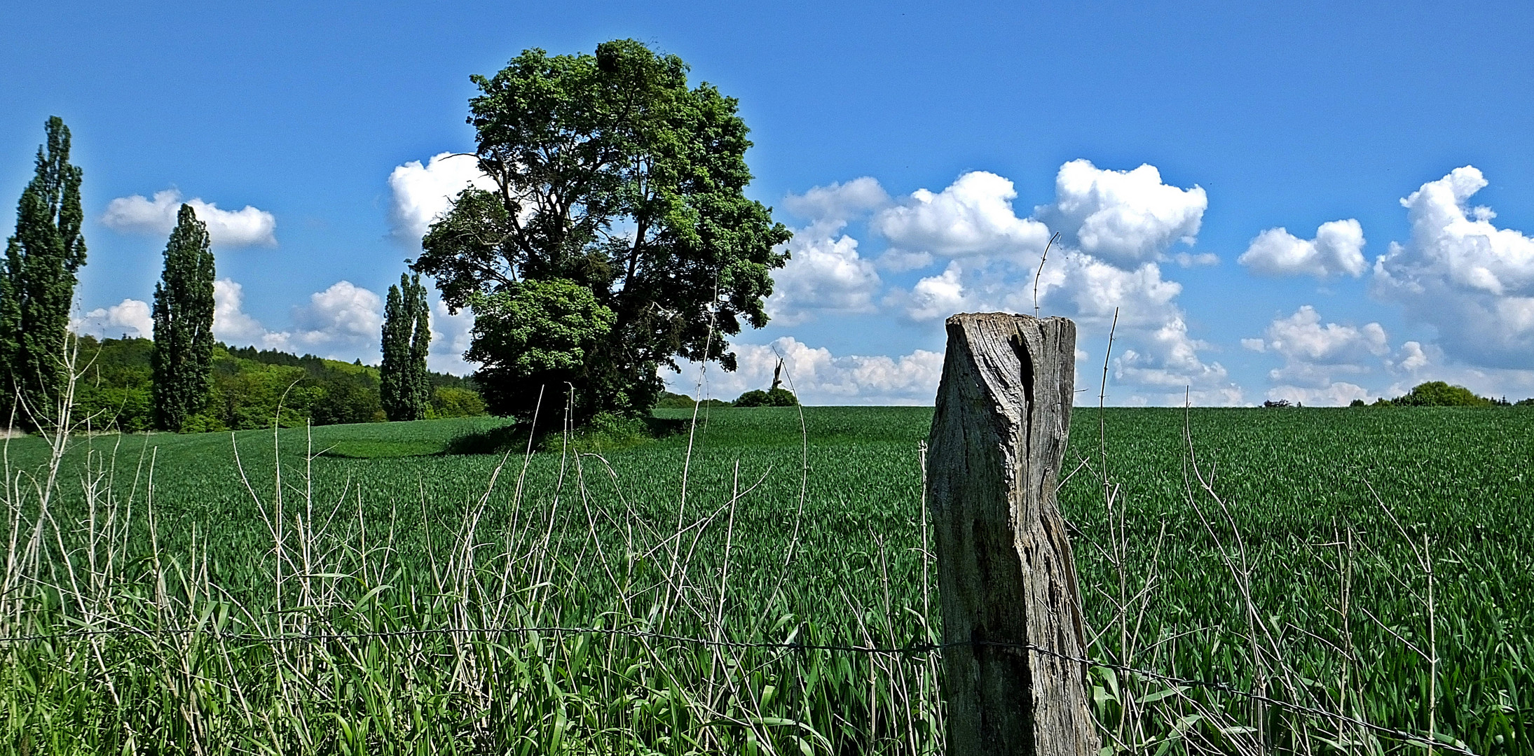 Wo ist das -  Schleswig-Holstein II