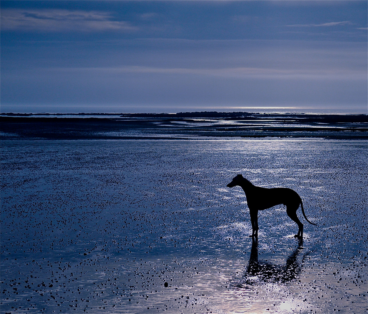 Wo ist das Wasser hin?