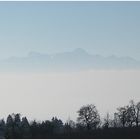 Wo ist den der Bodensee - oder wer hat den Nebel gewollt?