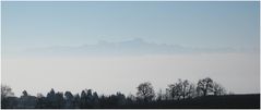 Wo ist den der Bodensee - oder wer hat den Nebel gewollt?