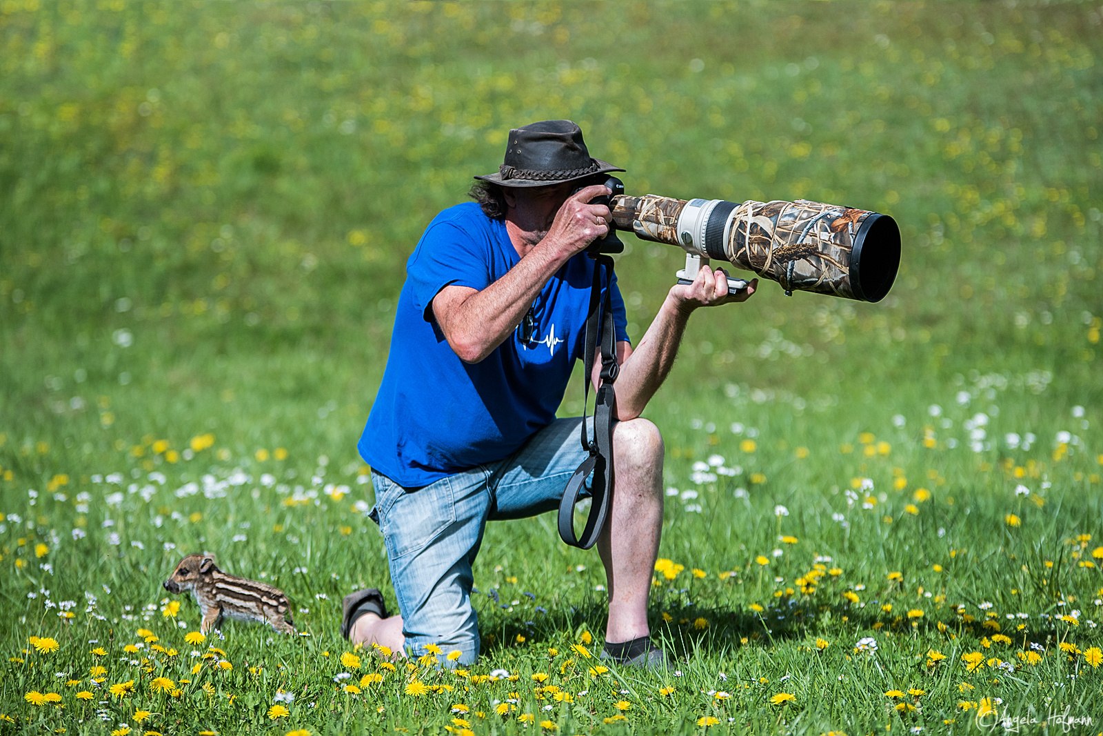 Wo ist denn das Motiv geblieben?? Foto & Bild tiere, portrait