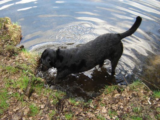 Wo ist denn das verschwunden???