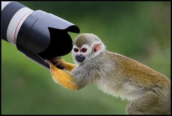 Wo ist denn jetzt das Foto?