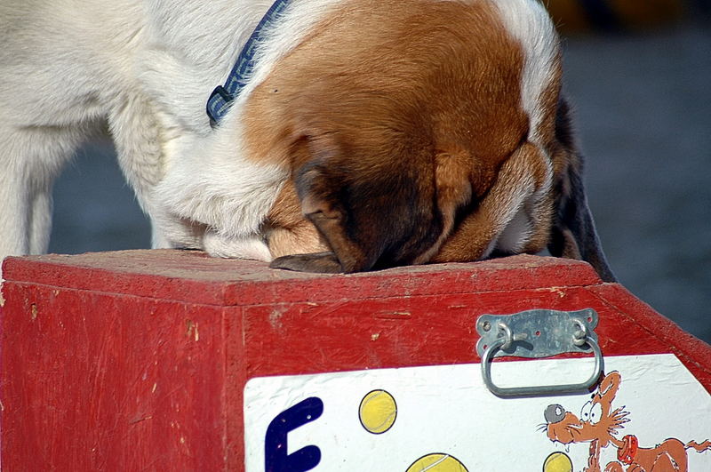 Wo ist denn jetzt der Ball?