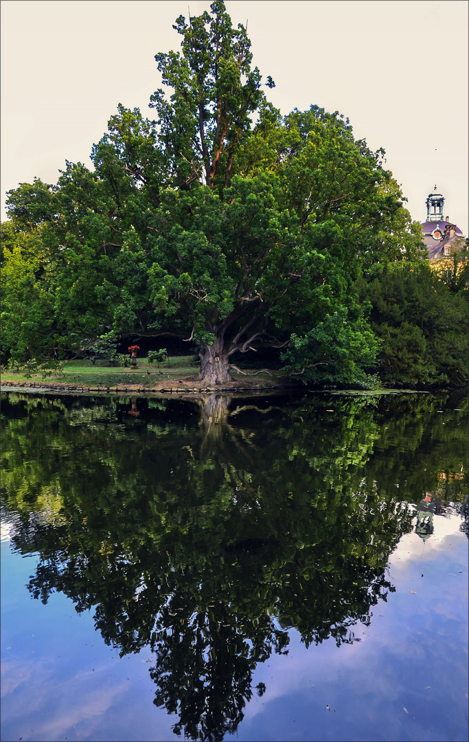 Wo ist denn nun der Baum?