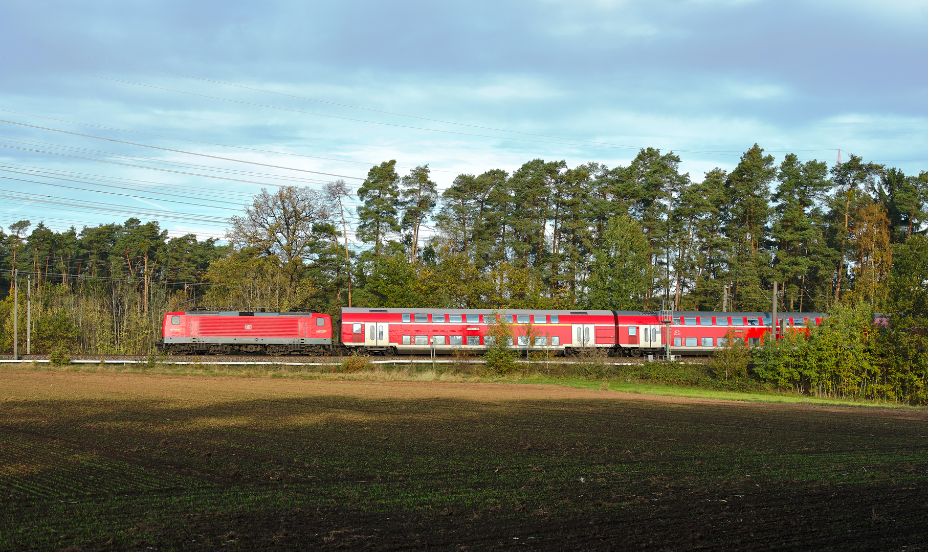 Wo ist der bunte Herbst?