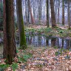 Wo ist der Frühling?