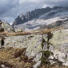 Wo ist der Gletscher_Heinz Schaub