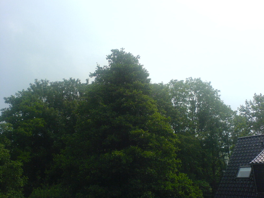 Wo ist der Regen?