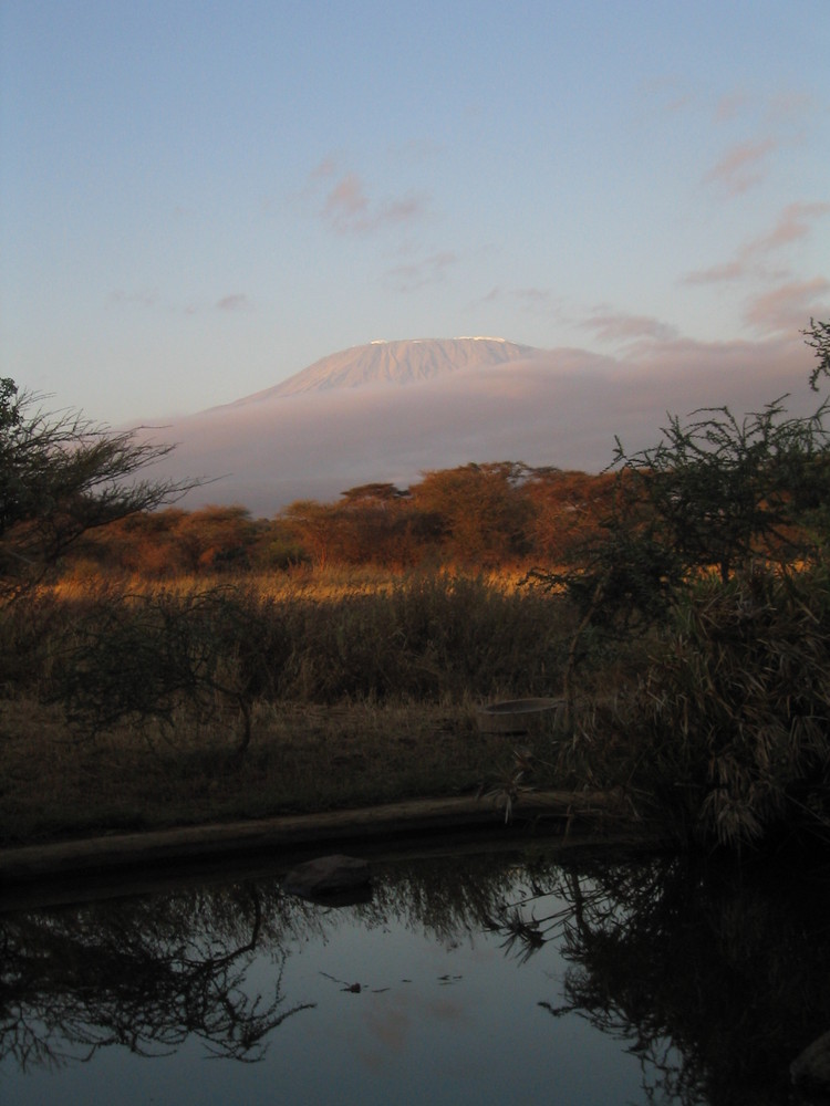 Wo ist der Schnee auf dem Kilimanjaro?