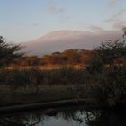 Wo ist der Schnee auf dem Kilimanjaro?