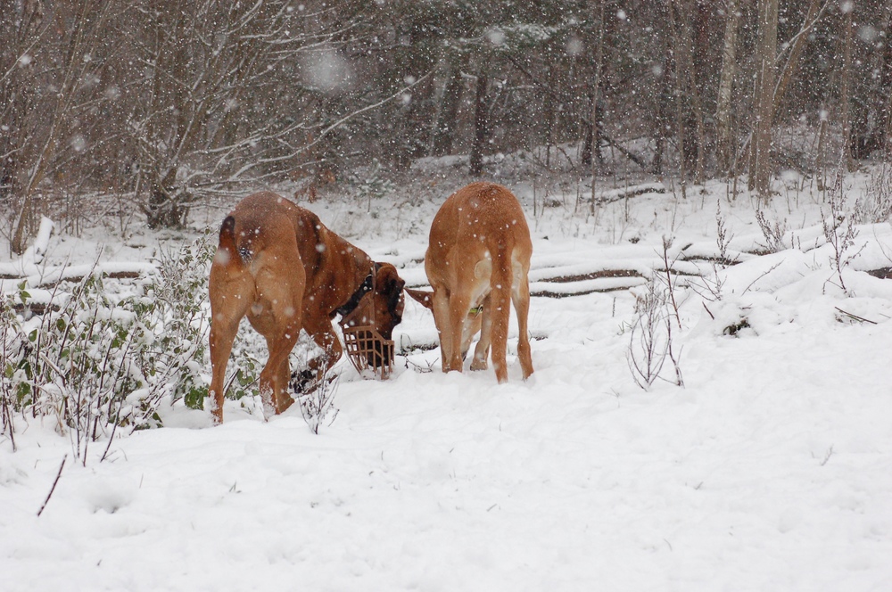 Wo ist der Sommer?