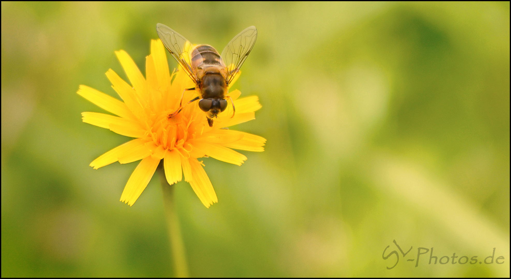 Wo ist der Sommer????