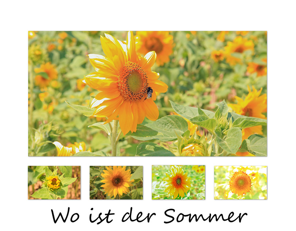 Wo ist der Sommer