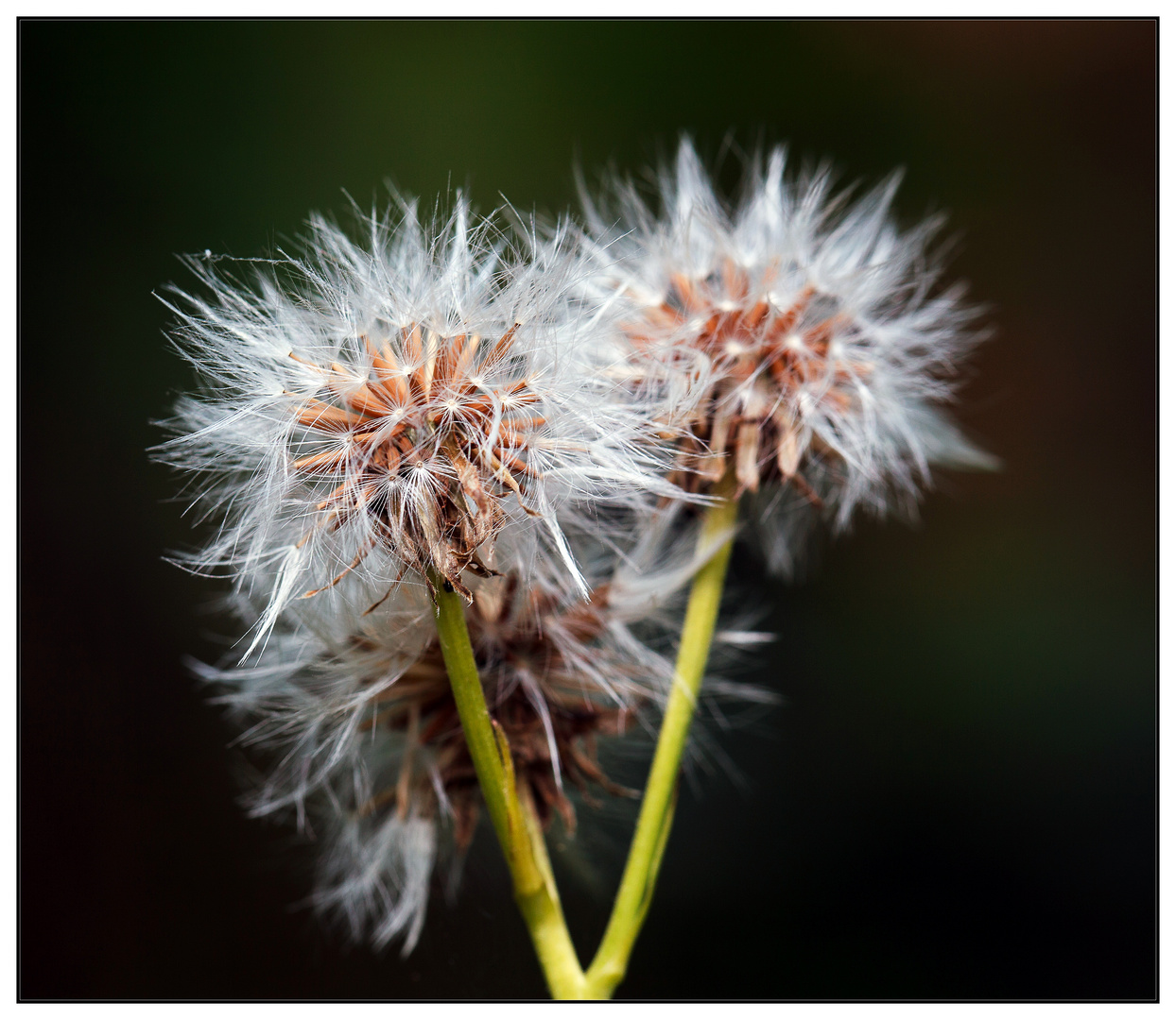 Wo ist der Wind