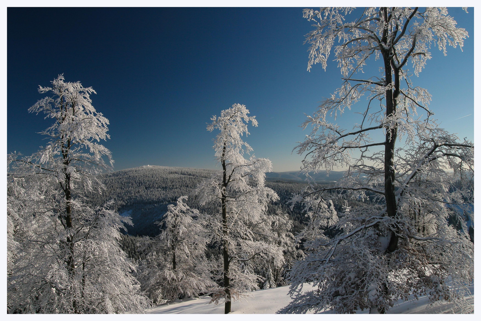 Wo ist der Winter?