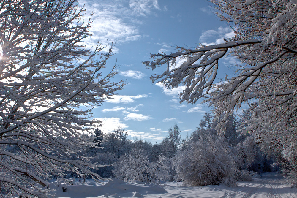 wo ist der Winter geblieben