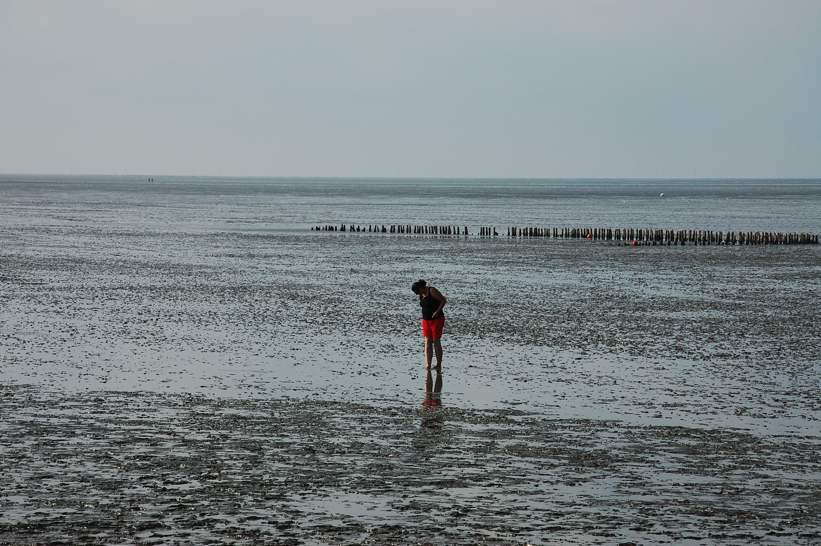 Wo ist die Nordsee?