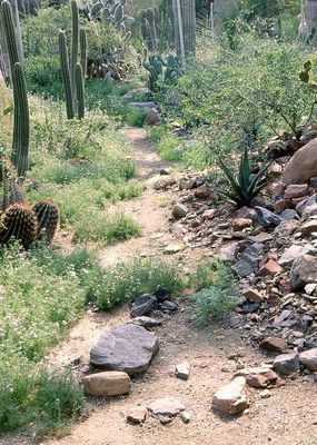 Wo ist diese Wüste?