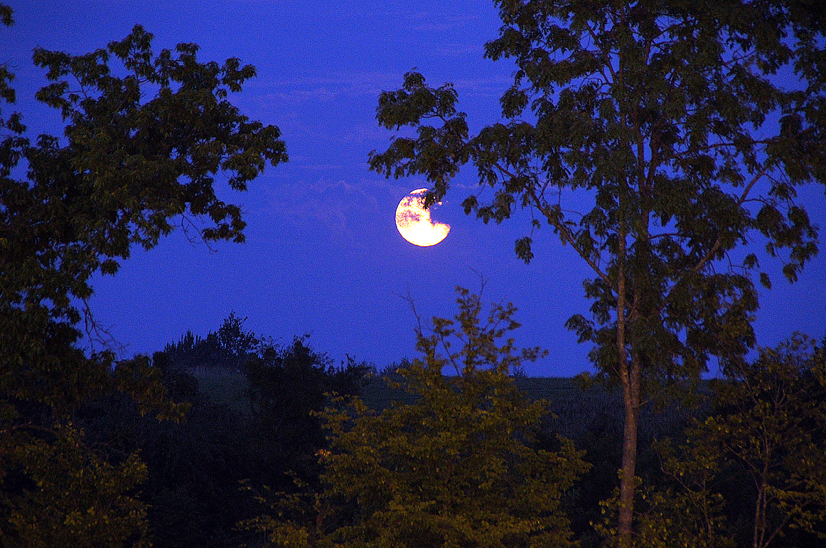 Wo ist E.T.? Das Fahrrad? Mond, Bäume sind vorhanden.