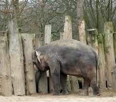 Wo ist hier der Ausgang ?