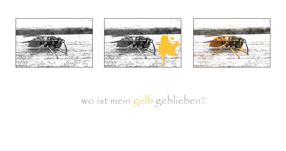 .wo ist mein gelb geblieben?.