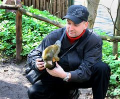 Wo ist nun  das Vöglein