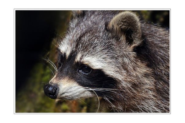 Wo ist nur das Wochenende hin?