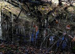 Wo ist oben, wo ist unten?