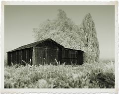 Wo jetzt der Winter hoffentlich rum ist ... nochmal der Schuppen!