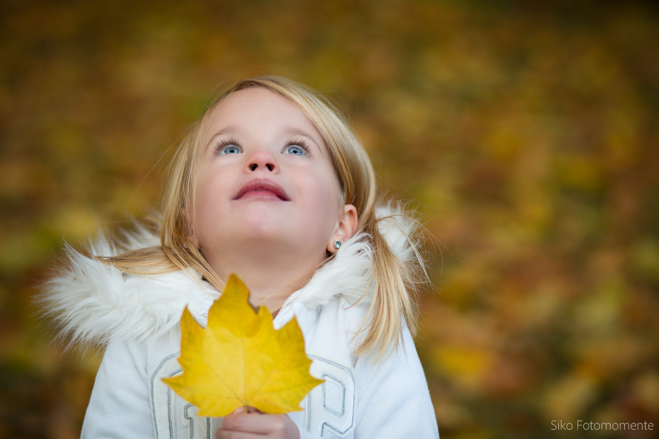 wo kommen all die Herbstblätter her ?