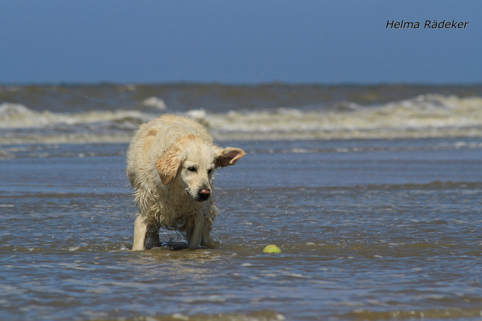 Wo kommt der Ball denn her?