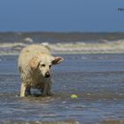 Wo kommt der Ball denn her?