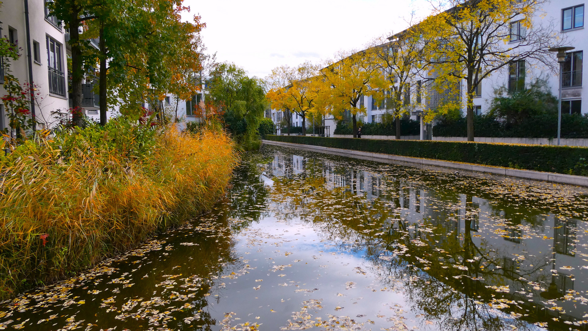 Wo kürzlich noch Herbst war