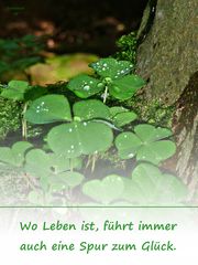 Wo Leben ist ...