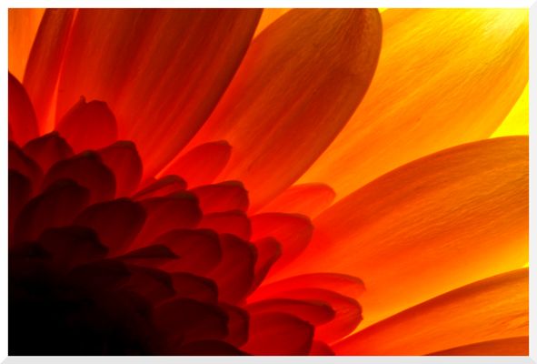 wo Licht ist, ist auch Schatten