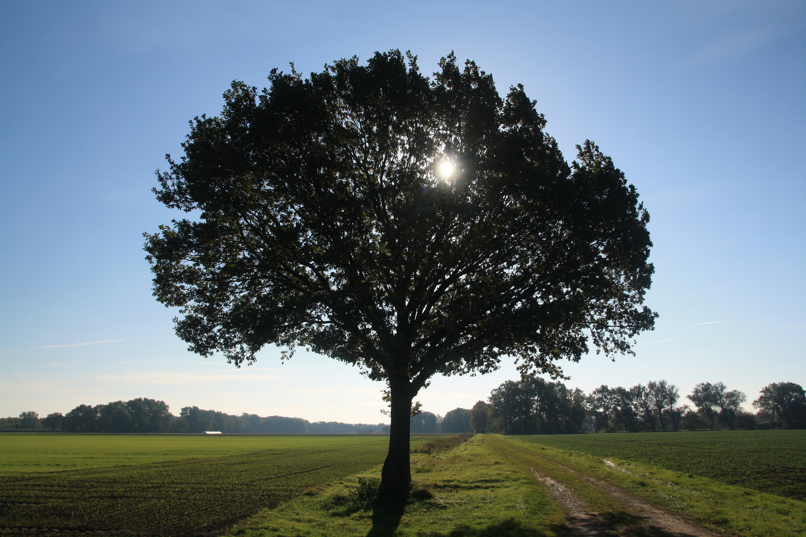 Wo Licht ist, ist auch Schatten 