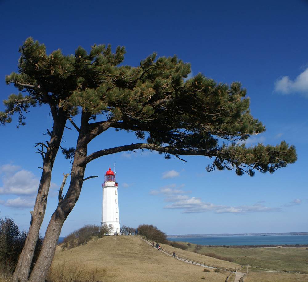 Wo meine Seele Ruhe findet - Hiddensee