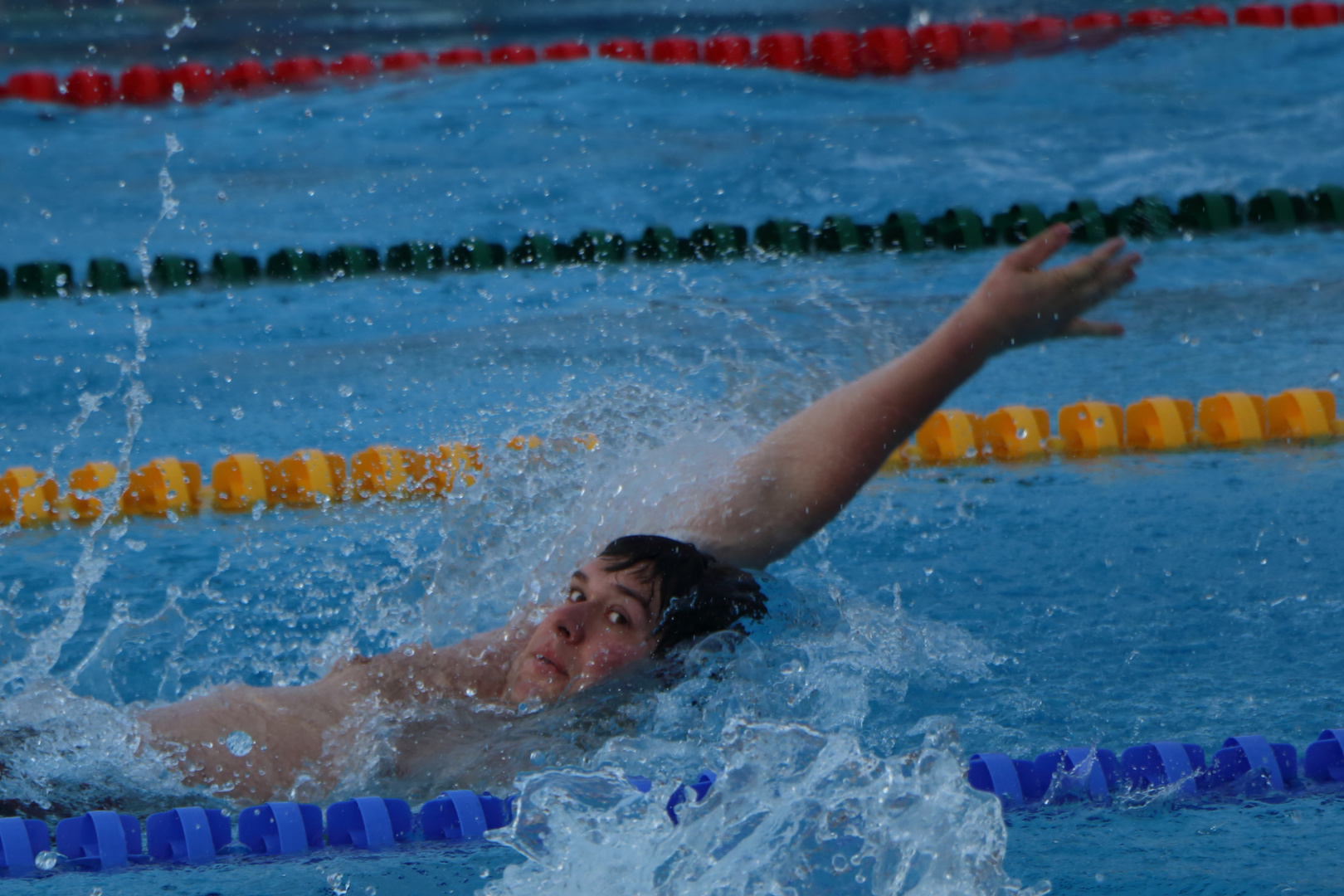 Wo schwimen sie denn?