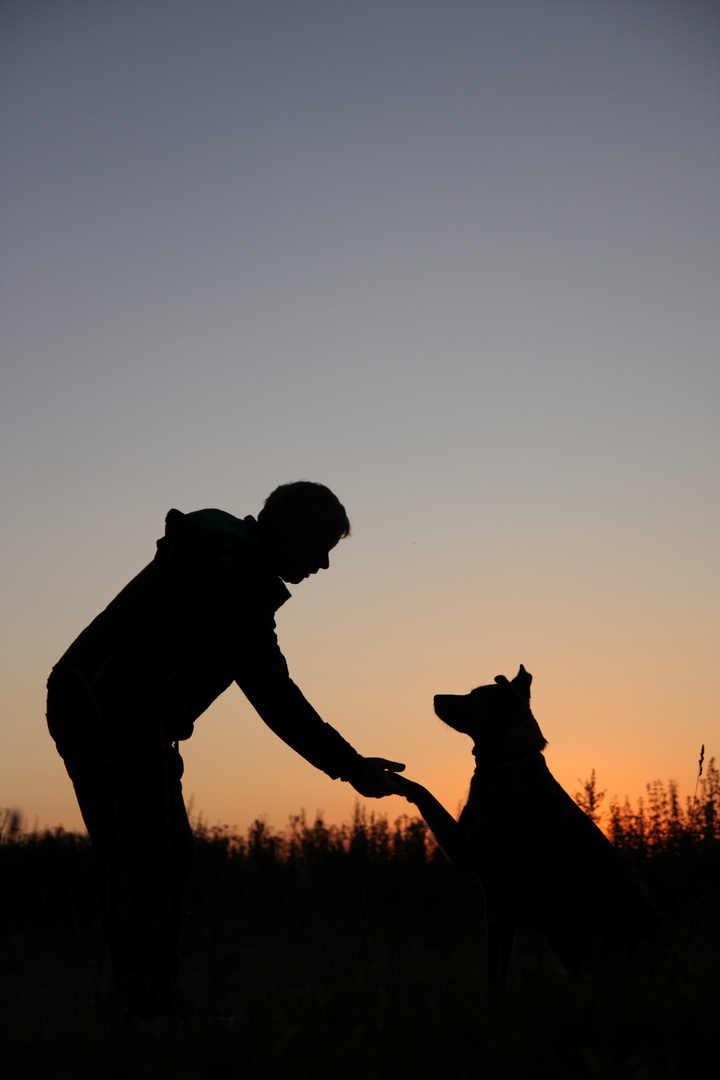 Wo sich Hund und Herrchen Gute Nacht sagen