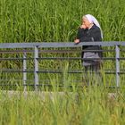 wo sind denn die Mittwochsblümchen?